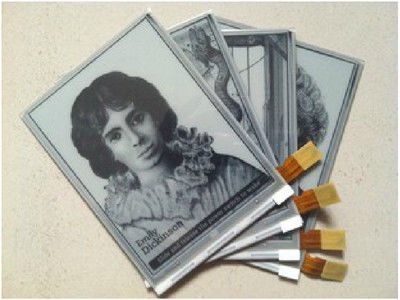 ราคาดี หน้าจอ E Ink ตัวเดิมขนาด 6.0 นิ้ว 600×800 SVGA พร้อม 34 พิน ออนไลน์